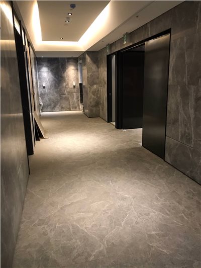 帕斯高灰